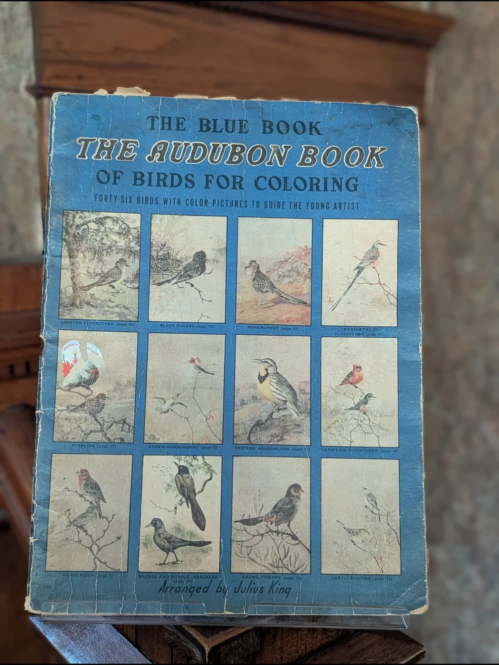 Antique 1938 Blue Book Audubon's Birds Coloring Book Julius King Whitman Racine